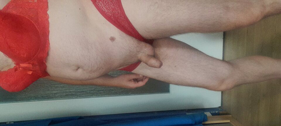 20220907_082622.jpg - Tygrys4040