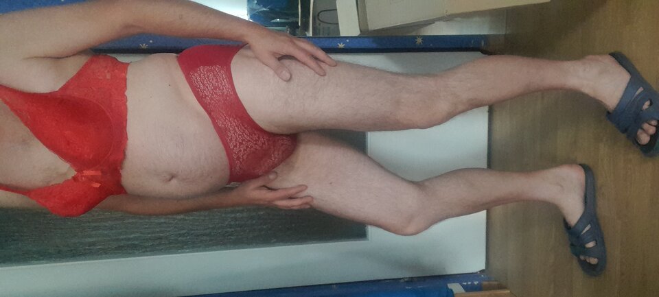 20220907_081512.jpg - Tygrys4040