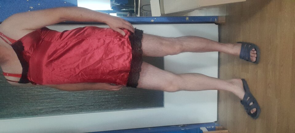 20220907_081809.jpg - Tygrys4040