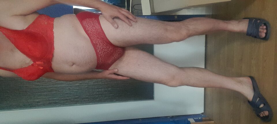 20220907_081528.jpg - Tygrys4040