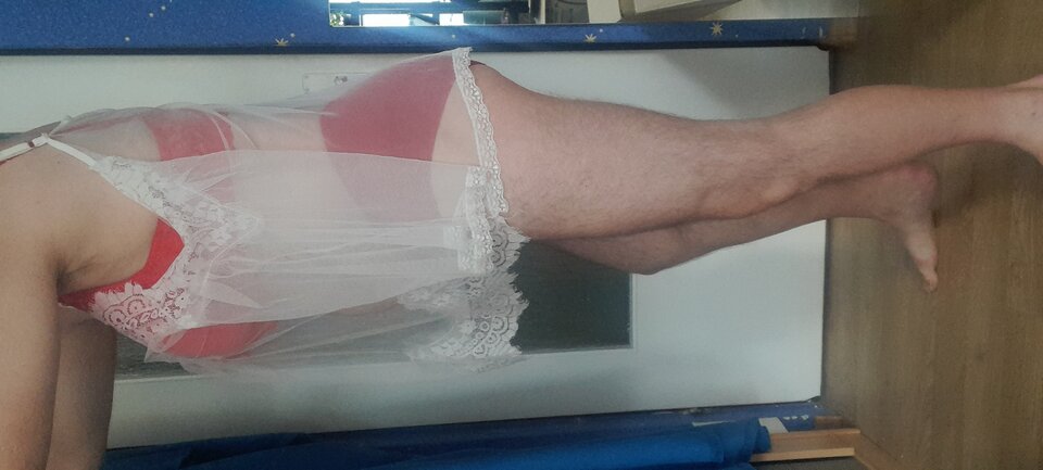 20220907_082452.jpg - Tygrys4040