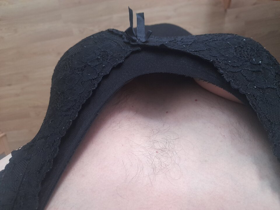 20220905_152627.jpg - Tygrys4040