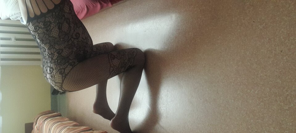 20220705_175759.jpg - Tygrys4040