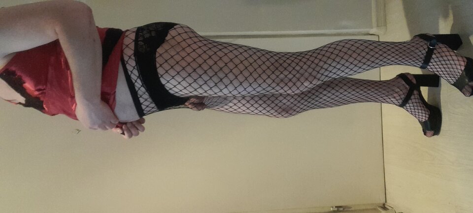 20220603_111326.jpg - Tygrys4040