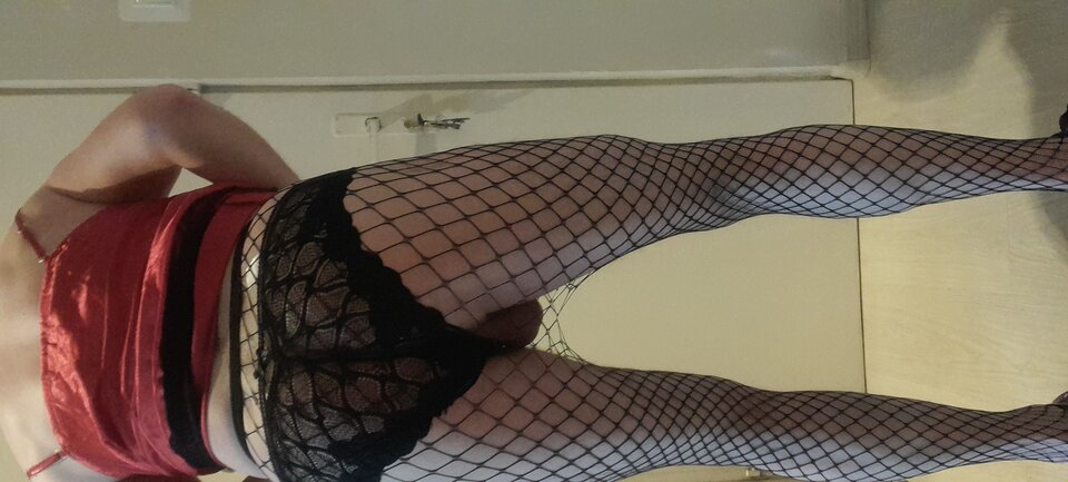 20220603_111337.jpg - Tygrys4040