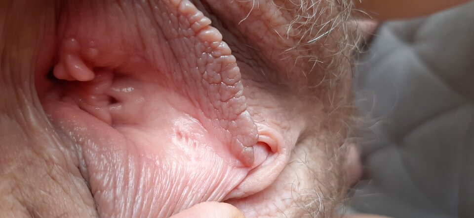 20220503_125455.jpg - Edek5407