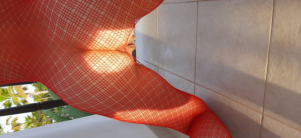 20210608_204227.jpg - Edek5407