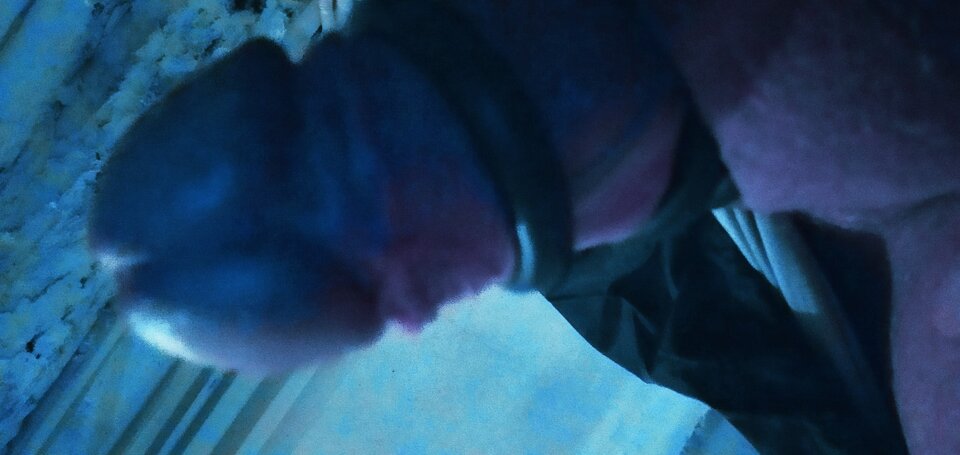 IMG_20220923_233814.jpg - Hjk18