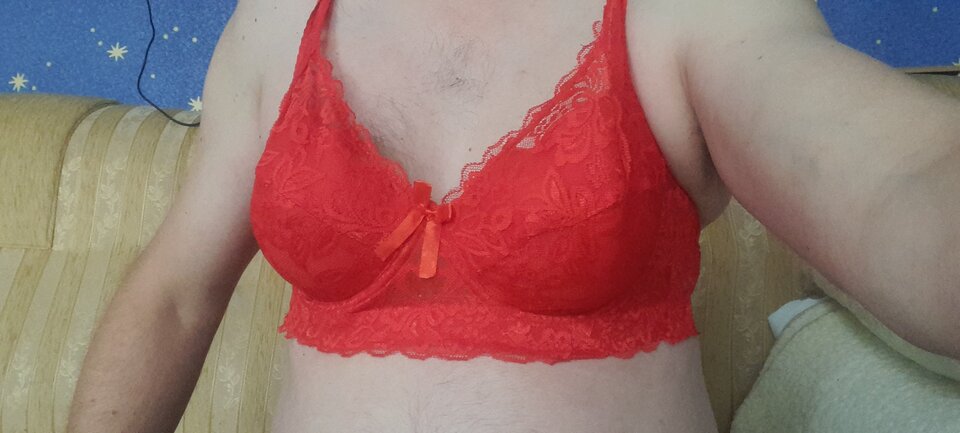 20220924_113323.jpg - Tygrys4040