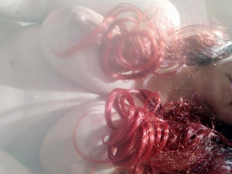 16640548601217853923548805992738.jpg - Kotka20061975