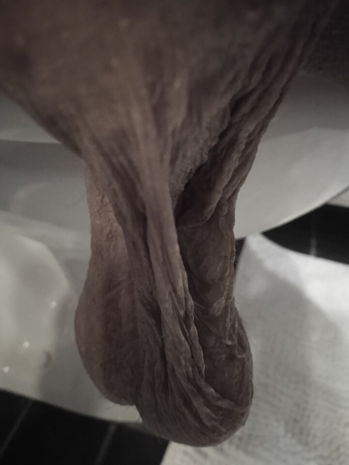 IMG_20220923_004733.jpg - 19Grzegorz55