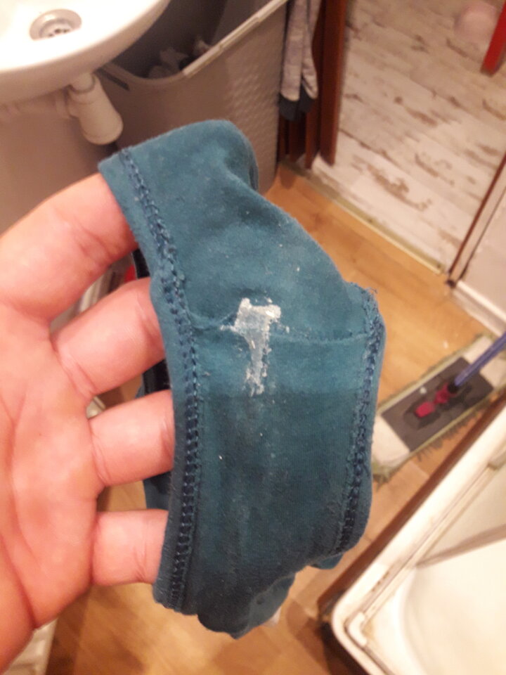 20220922_051151.jpg - kusy13