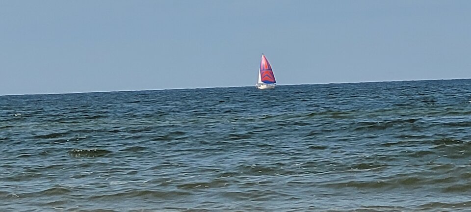 20210722_132442 (1).jpg - pepe677