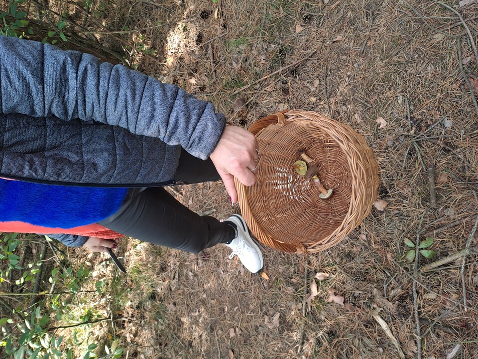 20220925_131609.jpg - Para5145wlkp