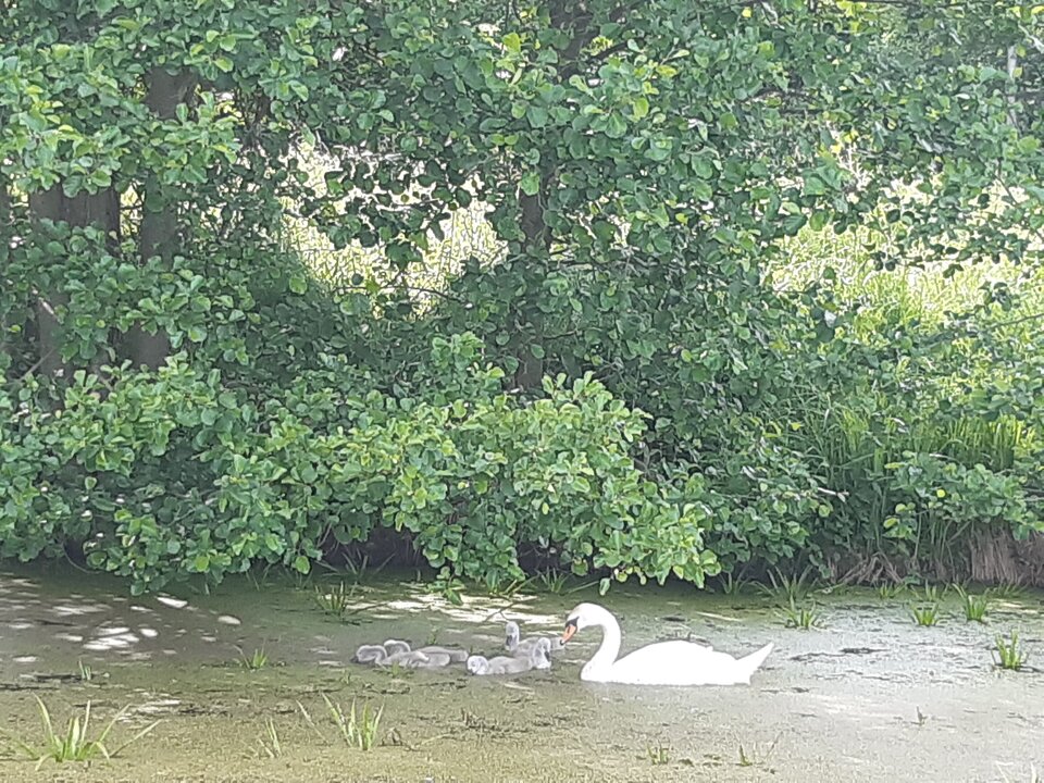 20220617_153403.jpg - torii99