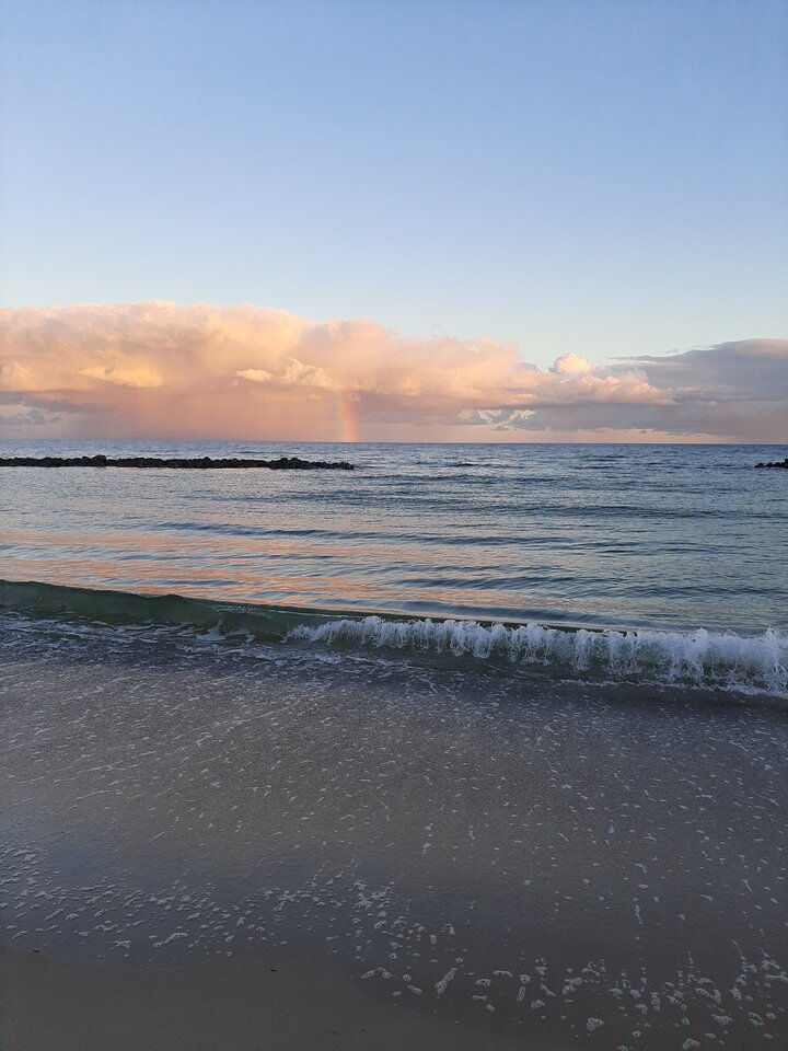 20220922_065642.jpg - XTOMx