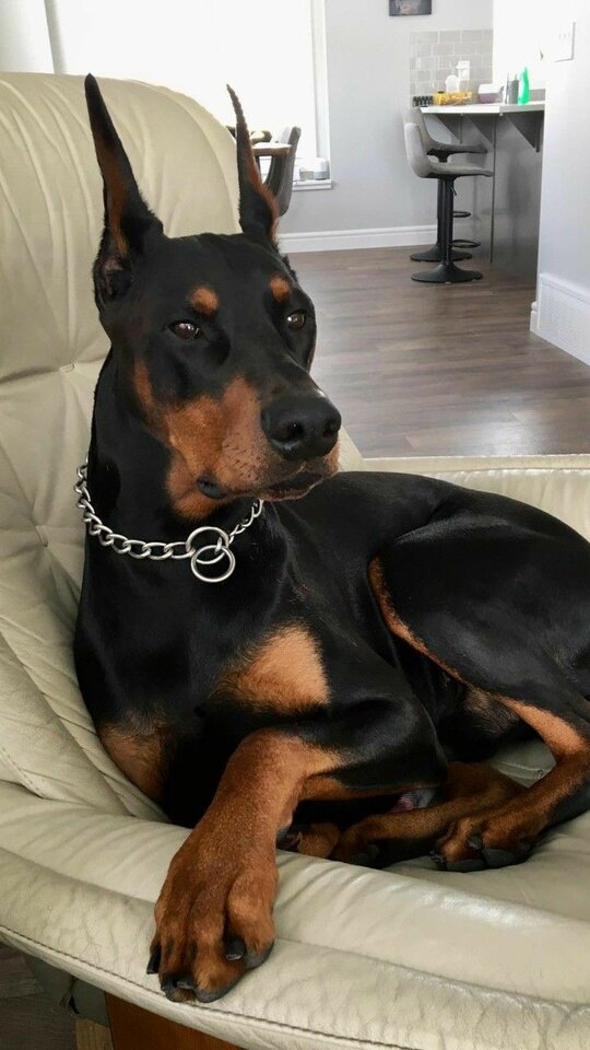 948884fec64d2629340f6e076a9a8a73.jpg - _Zarina_