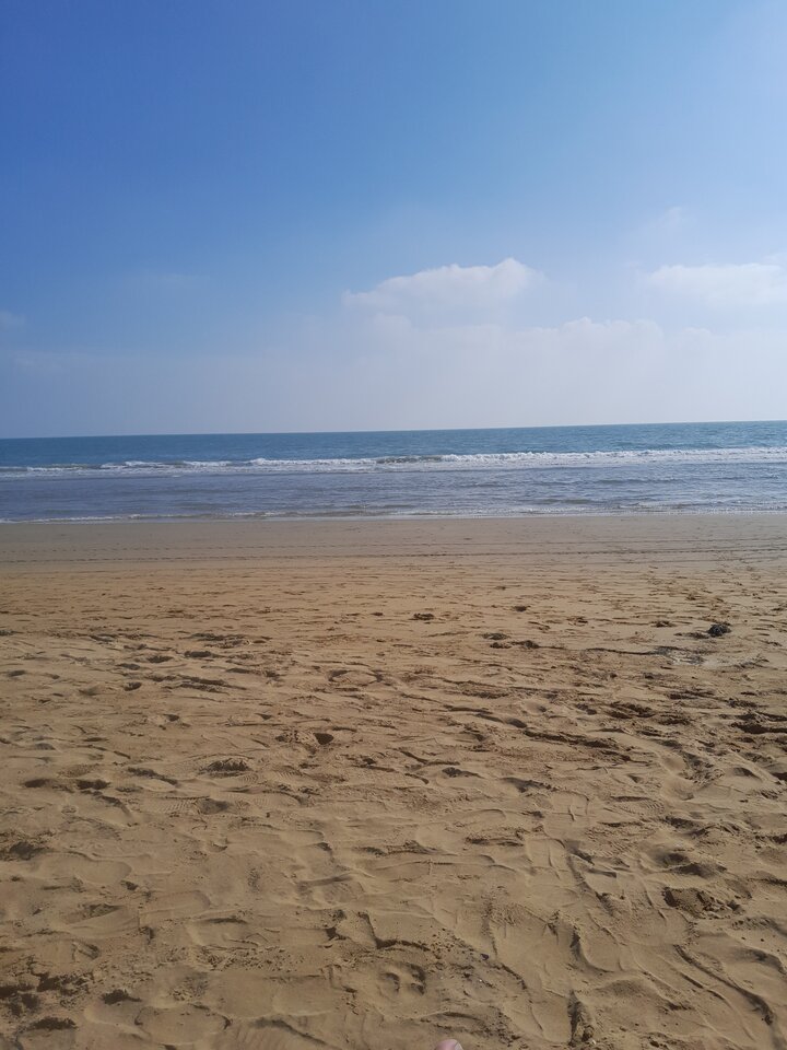 20220926_150117.jpg - Mialczki