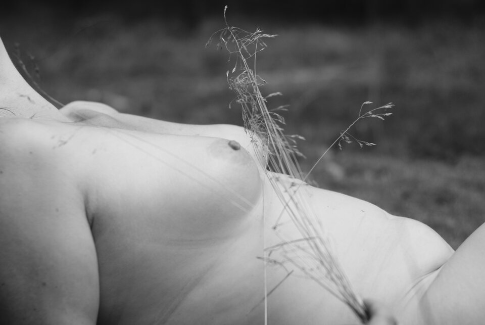 DSC03678.JPG - realni80