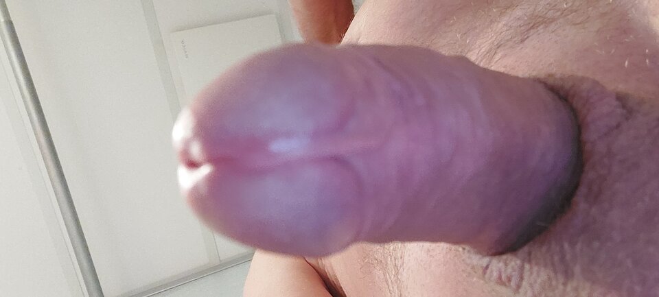 1664222331327501817330146562420.jpg - arcik1975