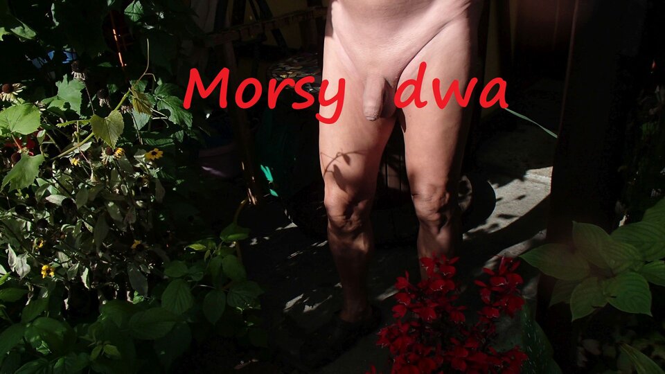 Dzień drugi. - Morsy_dwa