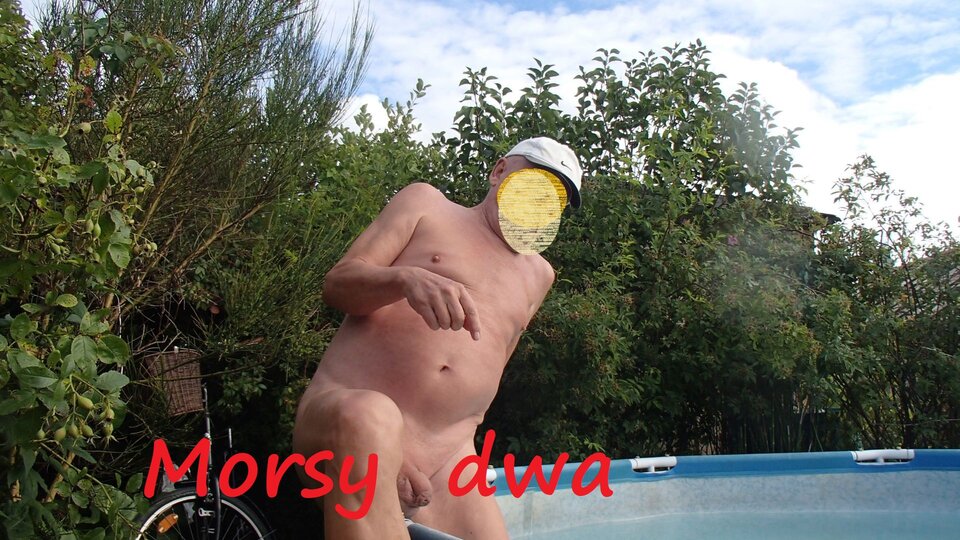 Dzień drugi. - Morsy_dwa