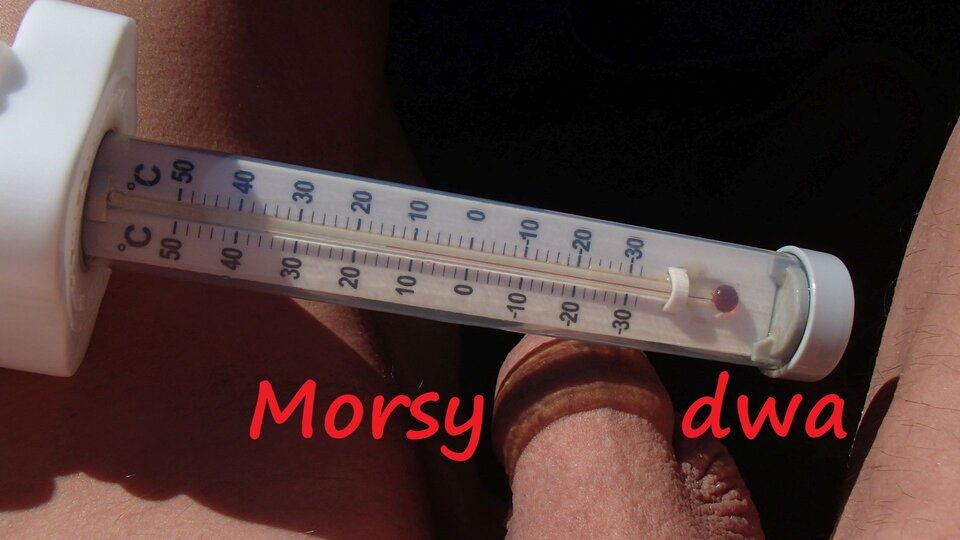 Dzień szósty I. Zmarźlak. - Morsy_dwa