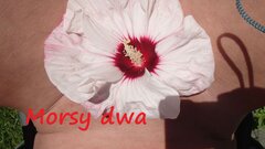 Dzień szósty I. Z kwiatkiem.