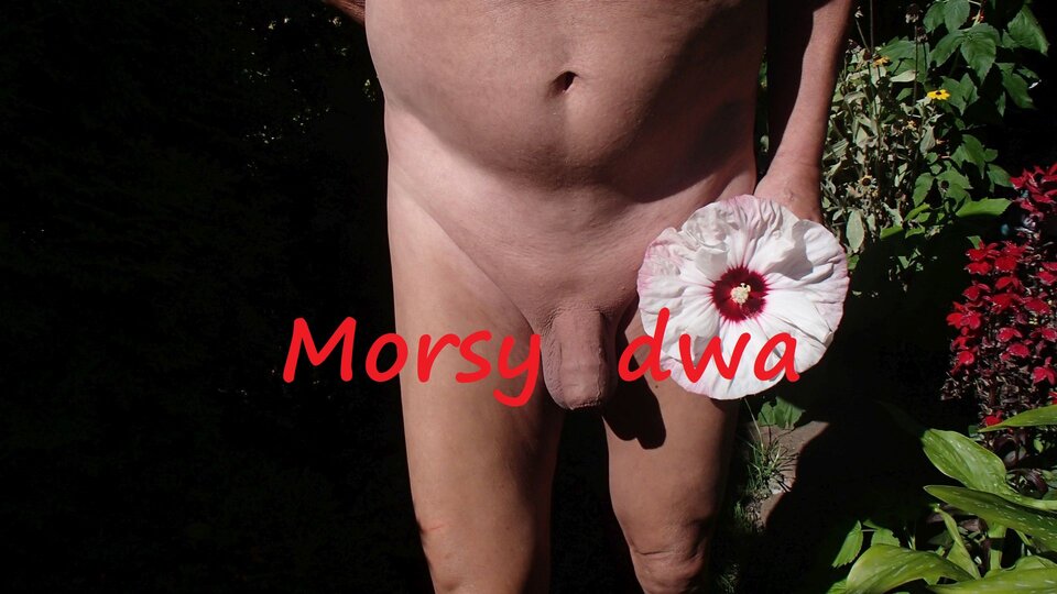 Dzień szósty I. Z kwiatkiem. - Morsy_dwa