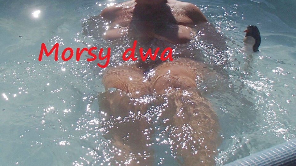 Dzień szósty I. Z pingwinkiem. - Morsy_dwa