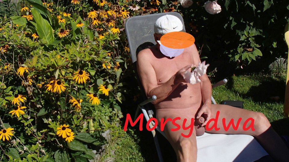 Dzień szósty I. Z kwiatkami. - Morsy_dwa