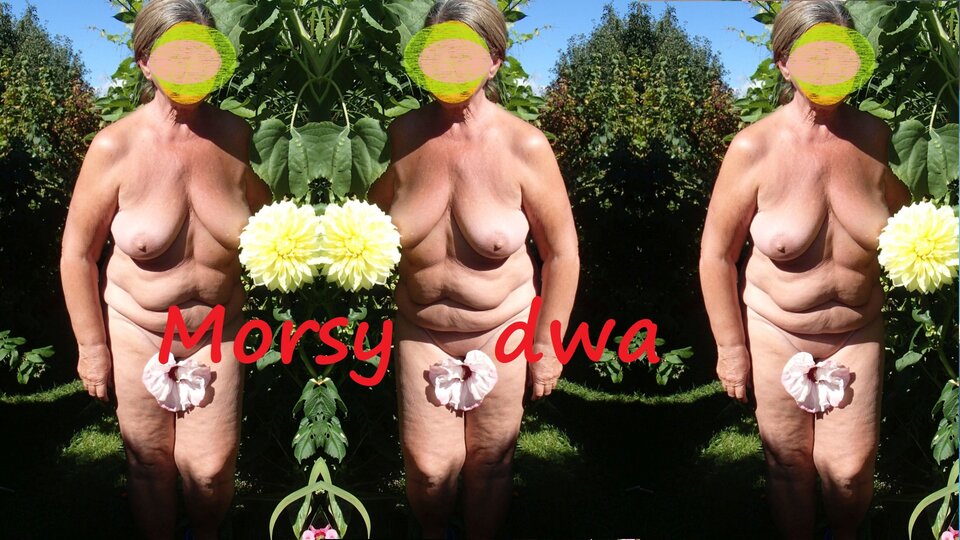 Dzień szósty I. Z kwiatkami. - Morsy_dwa