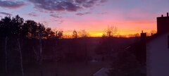 20220327_192720.jpg