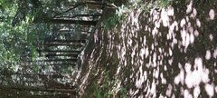 20220713_121039.jpg