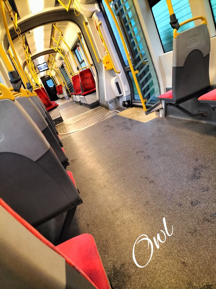 pt20220928_070047610.jpg - OwlsSoul