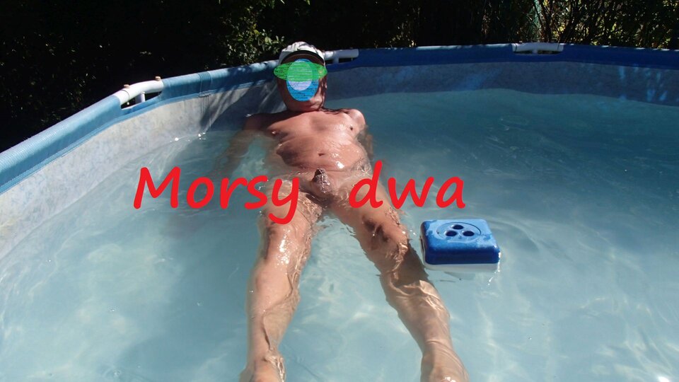Dzień szósty II. W pełnym słońcu. - Morsy_dwa