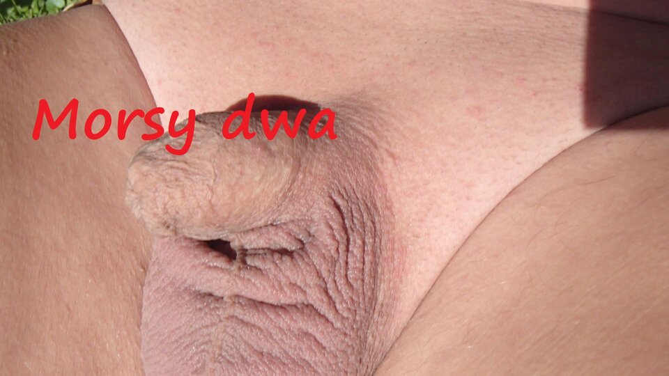 Dzień szósty II. W pełnym słońcu. - Morsy_dwa
