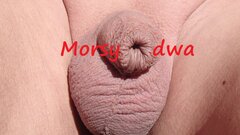 Dzień szósty II. W pełnym słońcu.