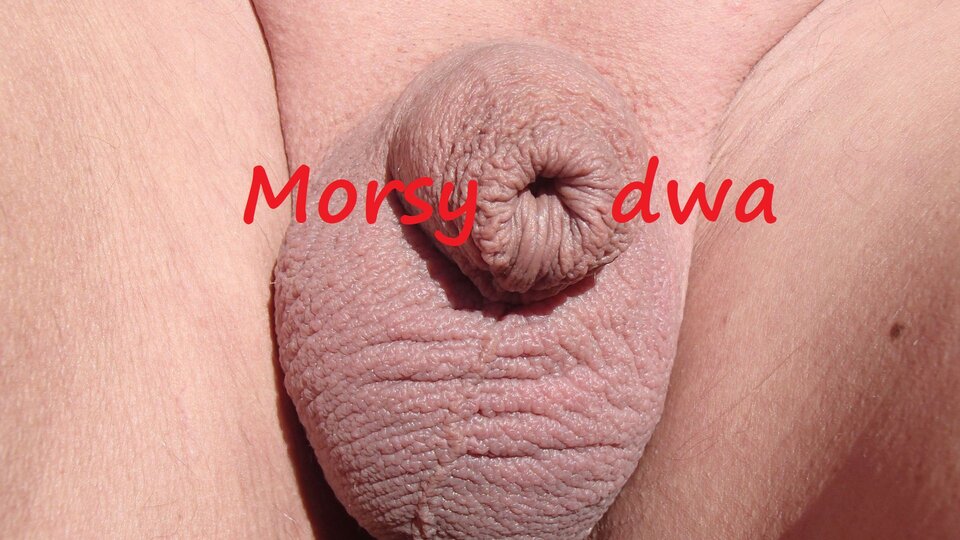 Dzień szósty II. W pełnym słońcu. - Morsy_dwa