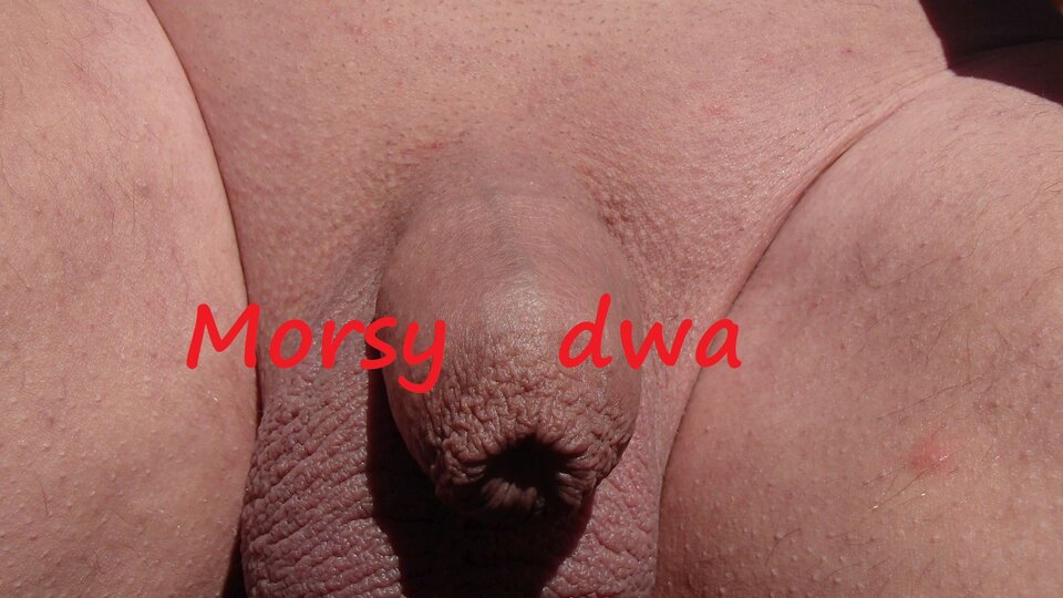 Dzień szósty II. W pełnym słońcu. - Morsy_dwa
