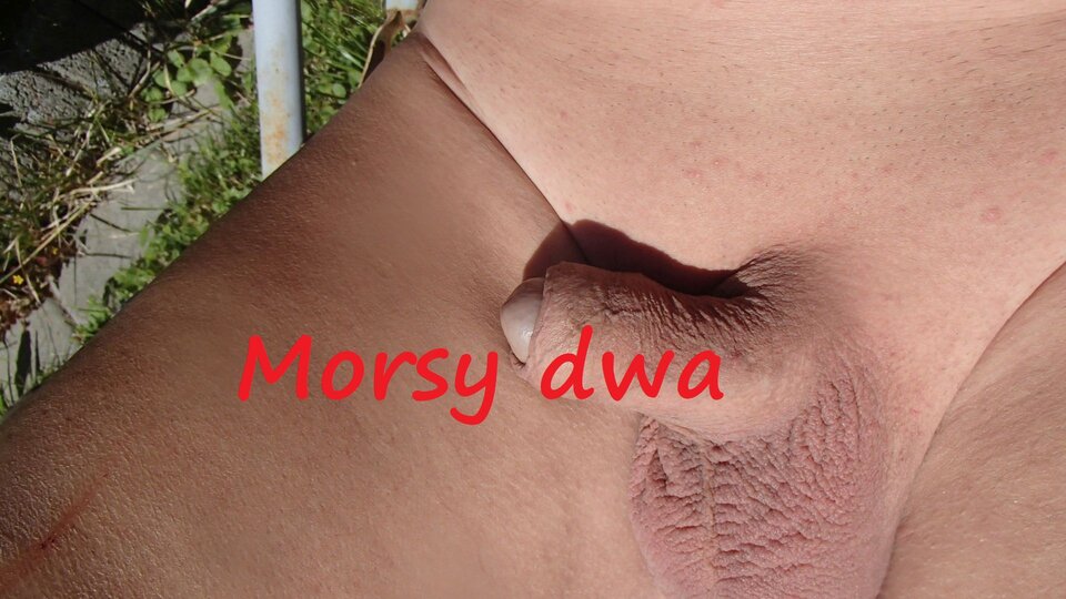 Dzień szósty II. W pełnym słońcu. - Morsy_dwa
