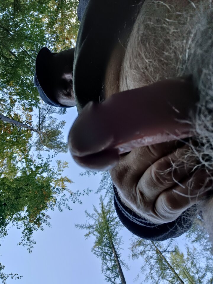 16644571036905040829209756917677.jpg - ardas1