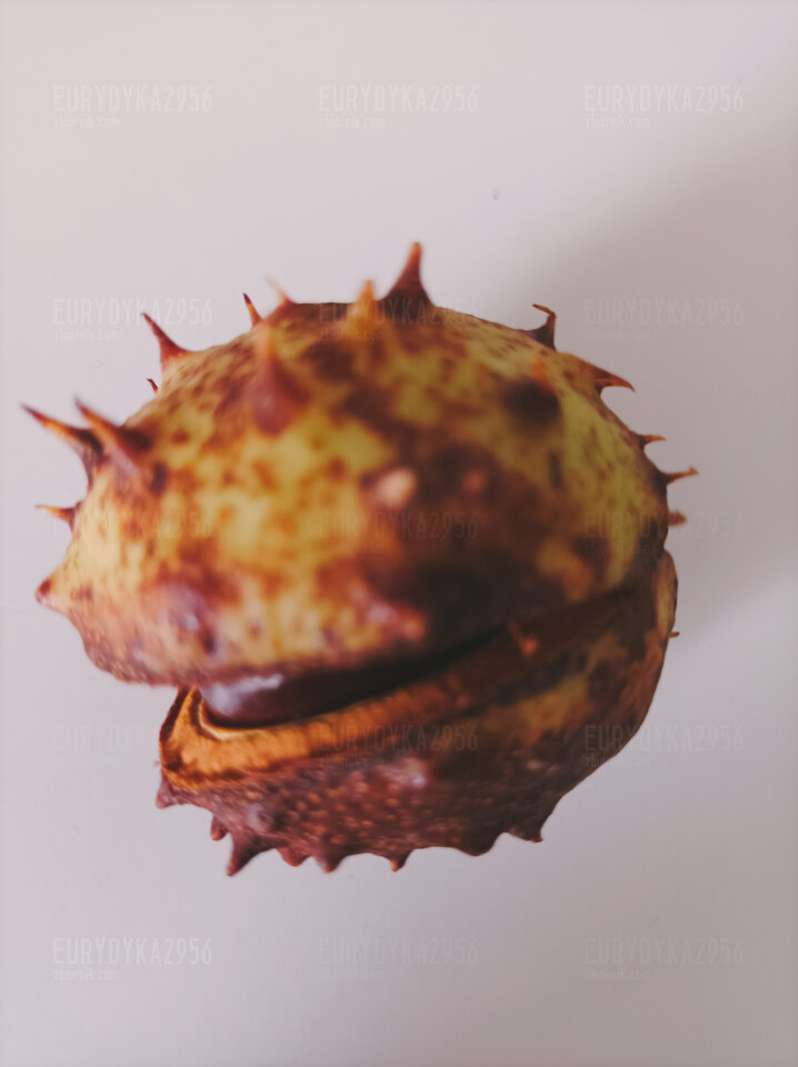 Jesień ☀️😔 - Eurydyka2956