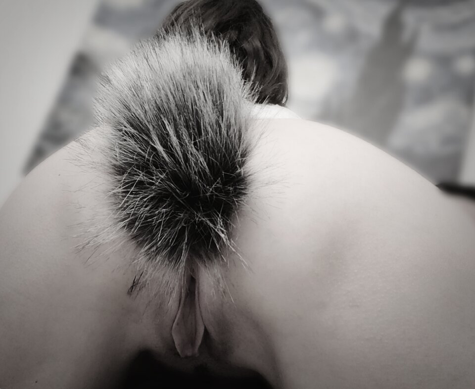 Polish_20220929_185304900.jpg - KiciaKocia88