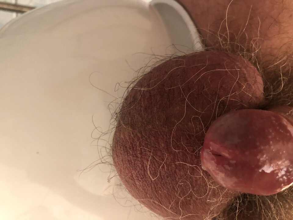 BD9F02CE-63B1-4414-9477-A407856D8B65.jpeg - stalker001