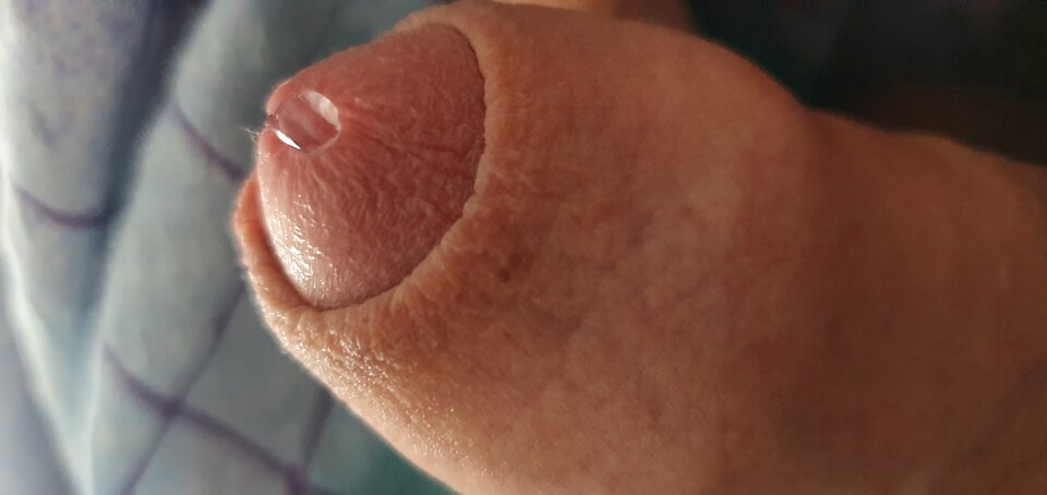 20221001_072830.jpg - Adam3246