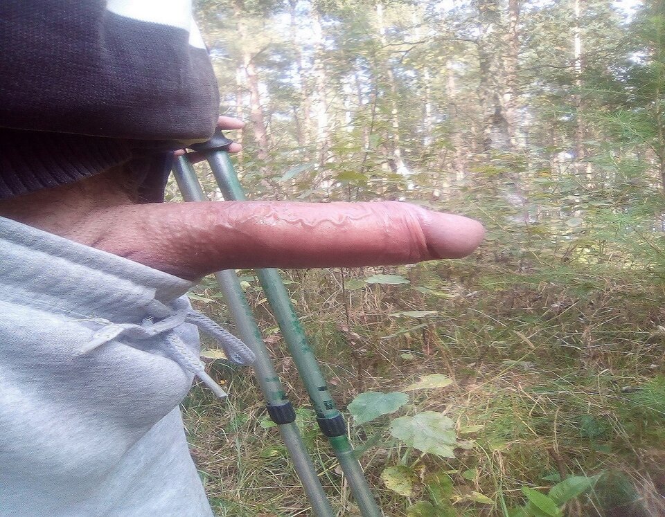 lesi19.jpg - mmojduzy102