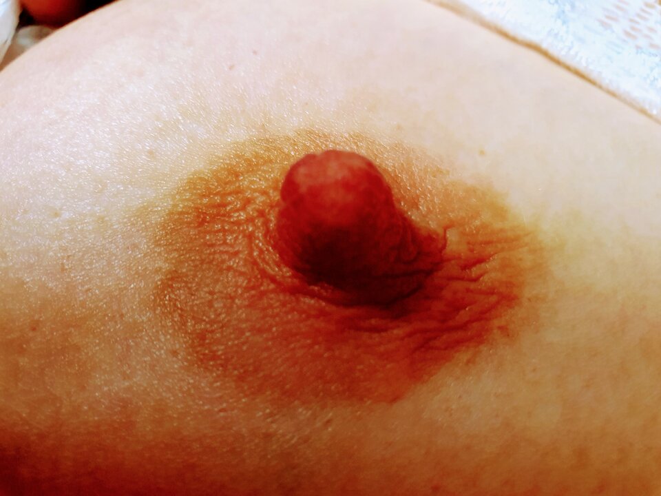 20221001_104245~2.jpg - Jajonasz1