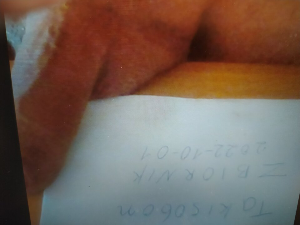 IMG_20221001_123528[1].jpg - takisobon