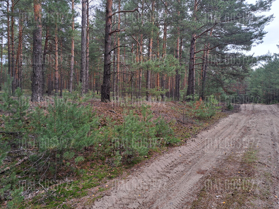 20221001_111949.jpg - malgos1972